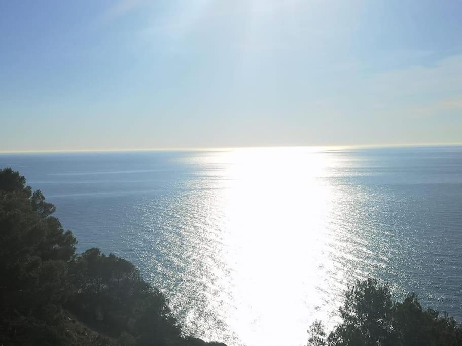 Casa En Urb. Con La Piscina Mas Grande De Javea. Eksteriør billede